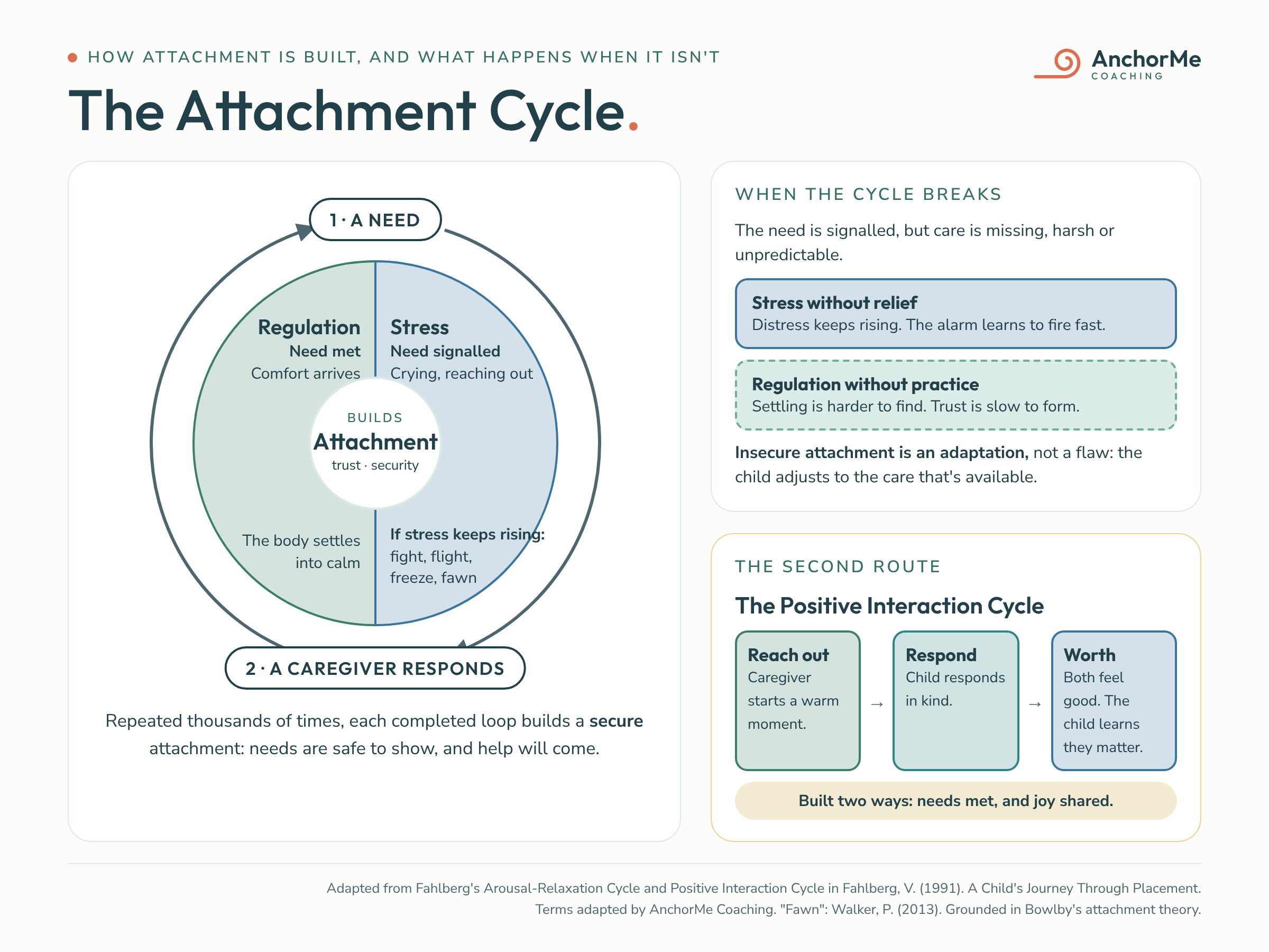 The Attachment Cycle, adapted from Fahlberg. A need creates stress, a caregiver responds, the body regulates, and each completed loop builds attachment. When the cycle breaks, stress has no relief and regulation gets little practice. A second route, the Positive Interaction Cycle, builds attachment through shared warm moments.